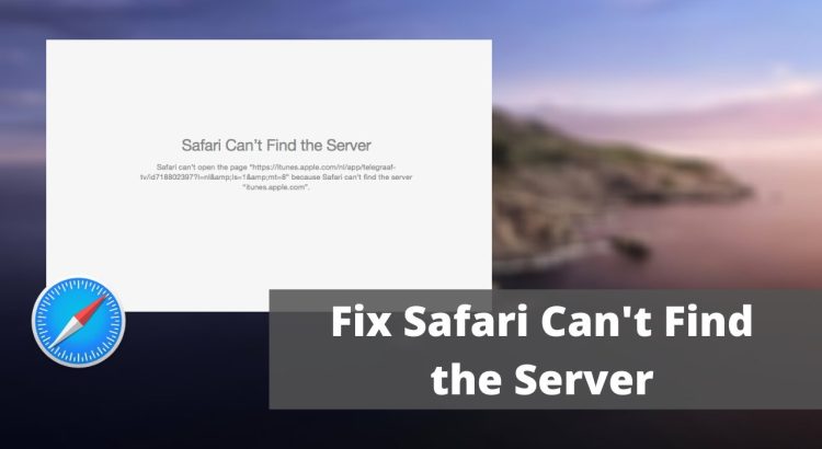 How to Fix Safari Can't Find the Server on MacOS Catalina and Below